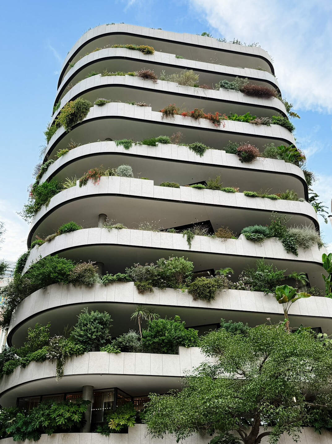 green eco files revolution
