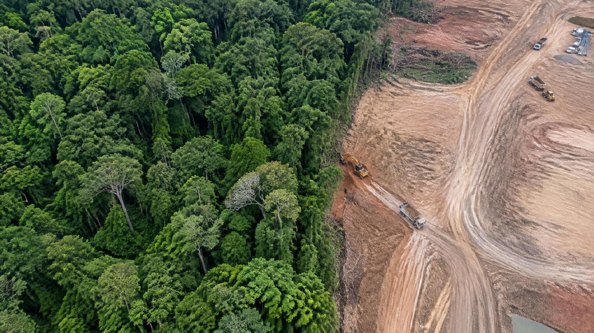 Aerial view of a protected forest bordering cleared land