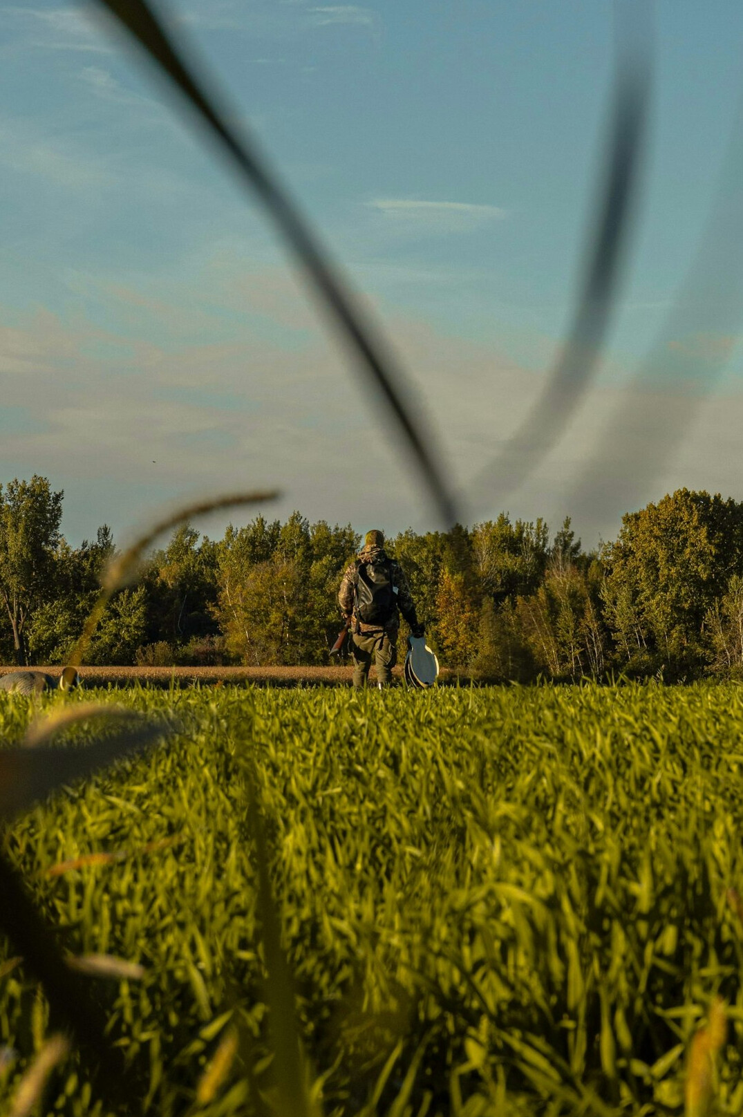farmer checking tablet in field