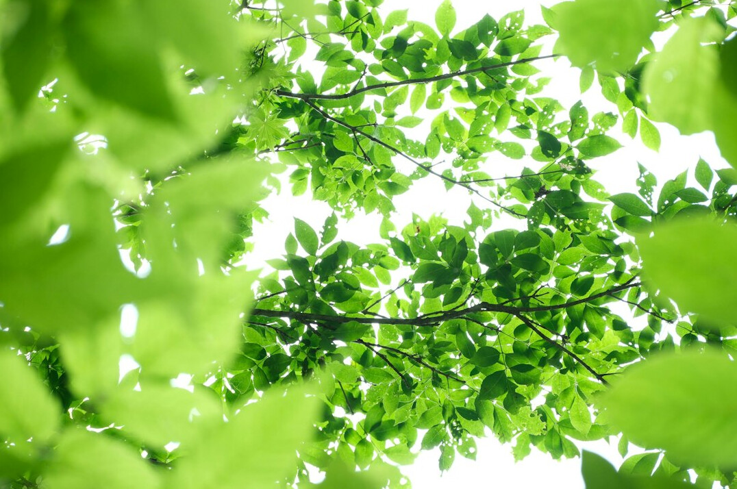 green business practices