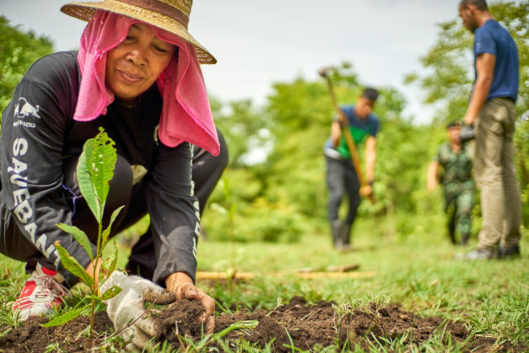community tree planting